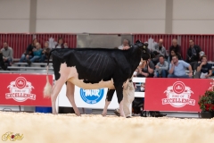 A108010-36058 A108010-36058