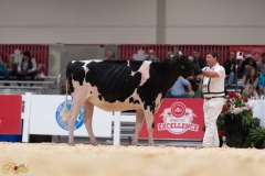 A108025-36060 A108025-36060