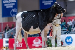 A108037-34174 A108037-34174