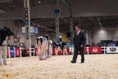 AR307223-36055 AR307223-36055