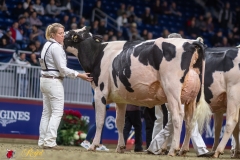 A108951-35498 A108951-35498