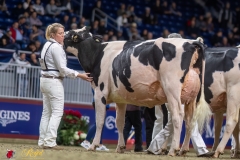 A108951-35528 A108951-35528