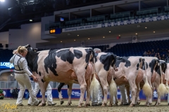 AR308040-35525 AR308040-35525