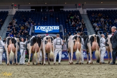 AR308059-35526 AR308059-35526