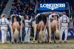 AR308059-35527 AR308059-35527