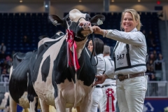 AR308073-35536 AR308073-35536