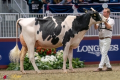 KVB07810-35513 KVB07810-35513