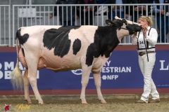 KVB07812-35514 KVB07812-35514