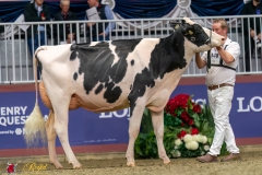 KVB07821-35517 KVB07821-35517