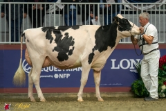 KVB07823-35518 KVB07823-35518