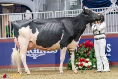 KVB07828-35519 KVB07828-35519