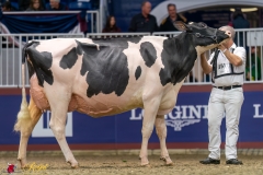 KVB07831-35520 KVB07831-35520