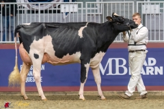 KVB07839-35522 KVB07839-35522