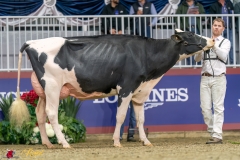 KVB07840-35523 KVB07840-35523