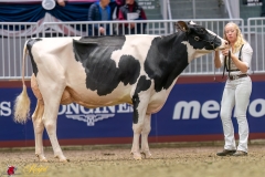 KVB07842-35524 KVB07842-35524