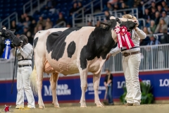 KVB07852-35534 KVB07852-35534