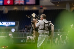 A108312-35267 A108312-35267