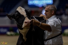 A108341-35275 A108341-35275