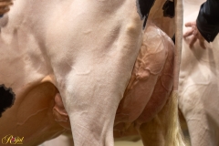 A108378-35280 A108378-35280