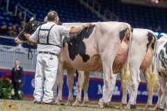 A108415-35286 A108415-35286