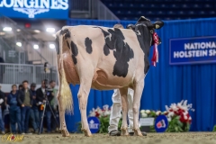 A108430-35291 A108430-35291