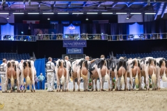 AR307571-35277 AR307571-35277