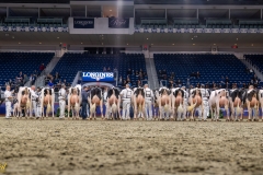 AR307584-35285 AR307584-35285