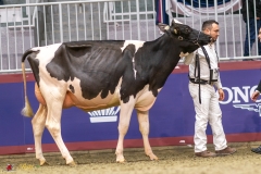 KVB07349-35243 KVB07349-35243