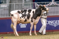 KVB07361-35245 KVB07361-35245