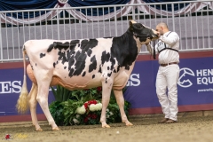 KVB07377-35248 KVB07377-35248