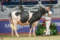 KVB07392-35252 KVB07392-35252