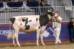 KVB07403-35254 KVB07403-35254