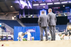 KVB07415-35257 KVB07415-35257