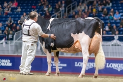 KVB08734-35916 KVB08734-35916