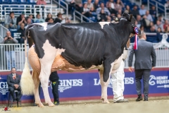 KVB08736-35917 KVB08736-35917