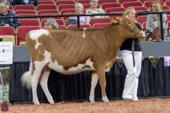 2A9A0244-Edit 2A9A0244-Edit