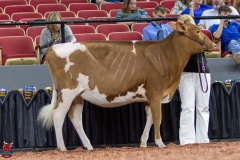 2A9A0247-Edit 2A9A0247-Edit