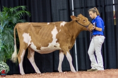 2A9A0259-Edit 2A9A0259-Edit