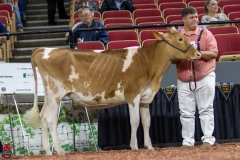 2A9A0266-Edit 2A9A0266-Edit