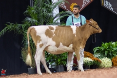 2A9A0270-Edit 2A9A0270-Edit