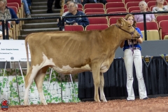 2A9A0271-Edit 2A9A0271-Edit