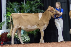 2A9A0272-Edit 2A9A0272-Edit