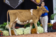 2A9A0278-Edit 2A9A0278-Edit