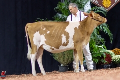 2A9A0279-Edit 2A9A0279-Edit