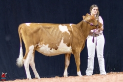 2A9A0284-Edit 2A9A0284-Edit