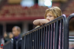 2A9A0295-Edit 2A9A0295-Edit