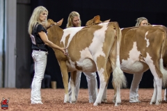 2A9A0298-Edit 2A9A0298-Edit