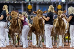 2A9A0306-Edit 2A9A0306-Edit