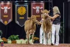 2A9A0314-Edit 2A9A0314-Edit