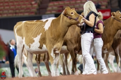 2A9A0318-Edit 2A9A0318-Edit